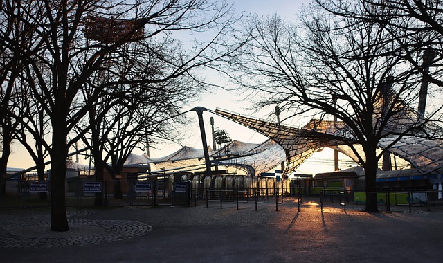 的关注与认 的关注与认