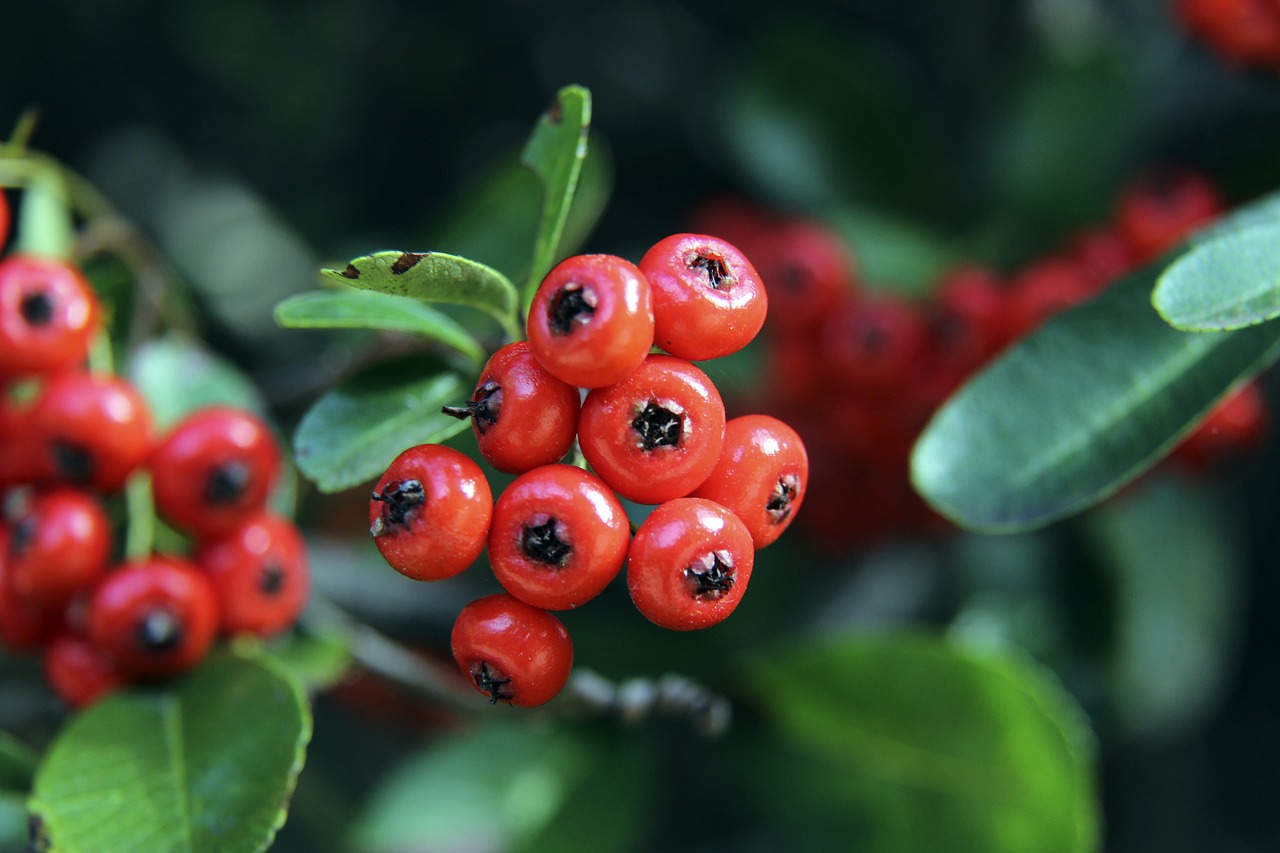 意义远超一 意义远超一