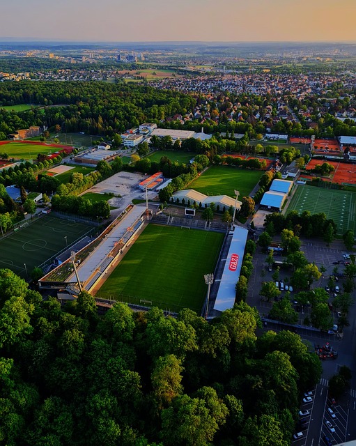 经济的快速 经济的快速