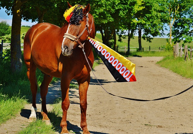 同样需要注 同样需要注