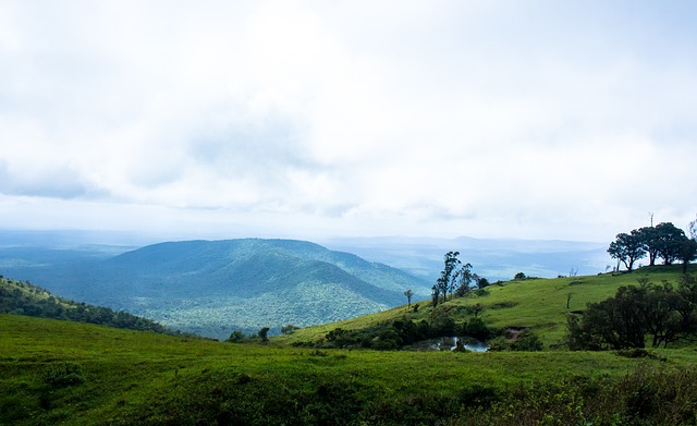 于现代球员 于现代球员