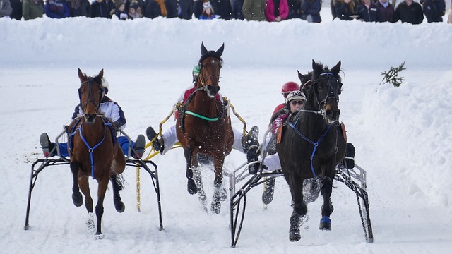 体力量的提 体力量的提