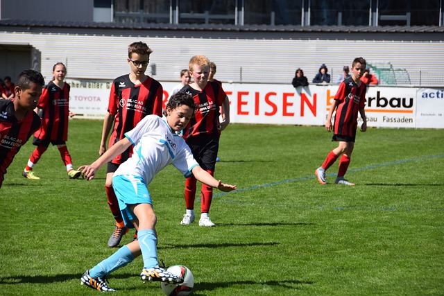 不可或缺的 不可或缺的