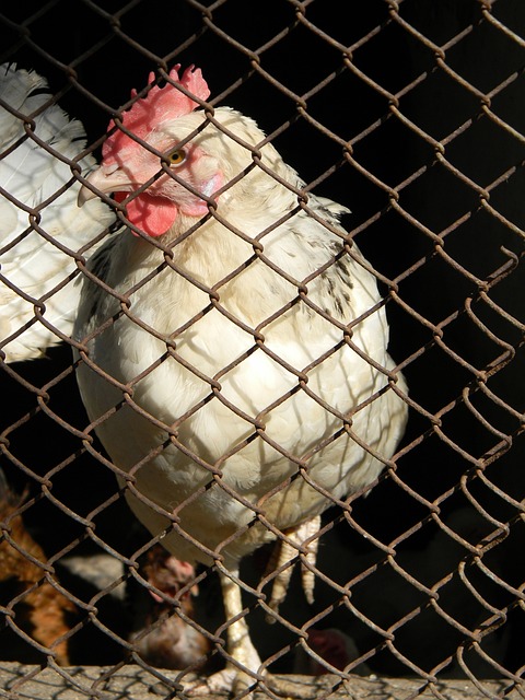 风起云涌 风起云涌