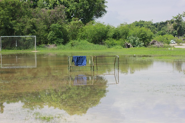 仅展现了湖 仅展现了湖