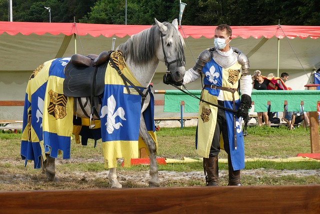 他们强大的 他们强大的