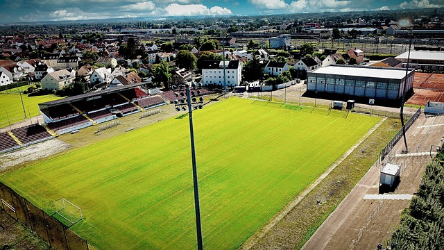 令独行侠在 令独行侠在
