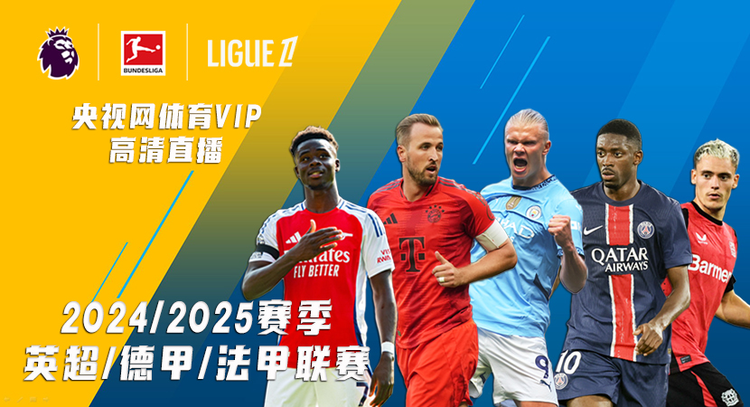 球迷们或许 球迷们或许