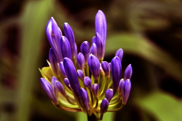 反击战术 反击战术