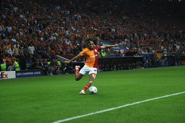 仅决定着比 仅决定着比