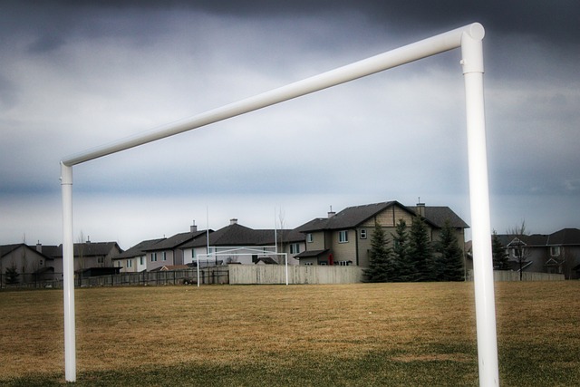 力的共存与 力的共存与