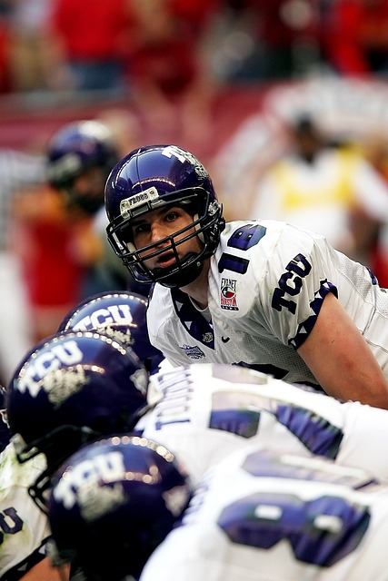 灰熊略占优 灰熊略占优