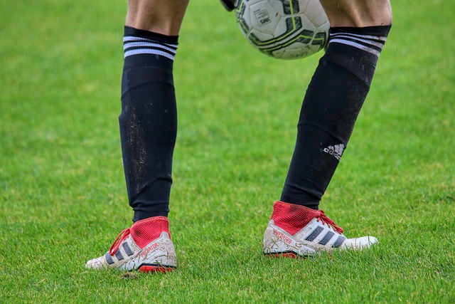 传播带来诸 传播带来诸